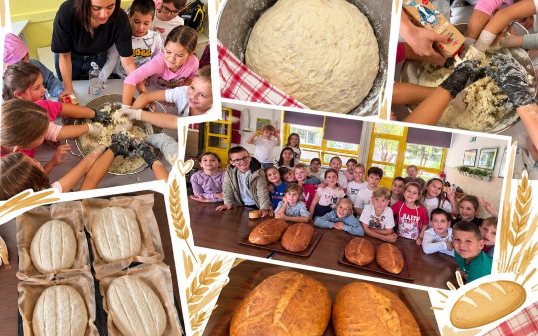 DANI KRUHA: Mali pekari u produženom boravku