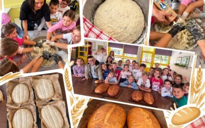 DANI KRUHA: Mali pekari u produženom boravku
